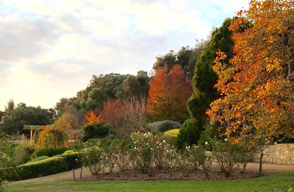 The Garden Cottage At The Olives Yankalilla Exterior foto